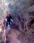 DSC00797 copia.JPG