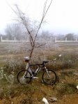 Ruta 24 Dic 2007_338x450.jpg