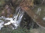 24-12-07_0945.jpg
