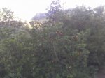 24-12-07_0952.jpg