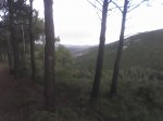24-12-07_1101.jpg