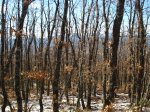 DSC03497_resize.JPG