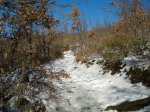 DSC03506_resize.JPG