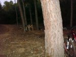 DSC01766.JPG
