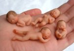 bebes9.jpg