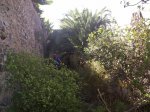 PA230319 mod.JPG