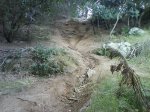 DSC00179.JPG
