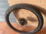 Rueda disc.jpg