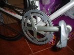 DSC03887.JPG