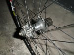 DSC01563.JPG