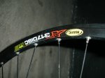 DSC01564.JPG
