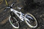 morewood_showa07gal40.jpg