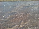 DSC00044.JPG