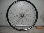DSC00313.JPG