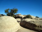 IMG_1979.jpg