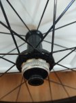 IMG_20230505_173524.jpg