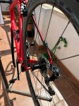 domane6.jpg