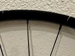 IMG_2283.jpeg
