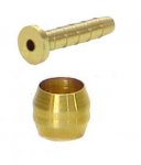 pin y oliva.jpg