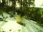IMG_0128.JPG