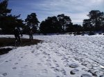 IMG_0136.JPG