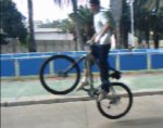 Bunny hop(cutre).jpg