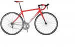 giant tcr 2.jpg