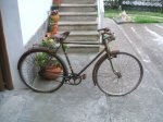 Orbea1.JPG