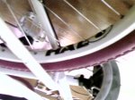 Foto0518.jpg