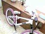 Foto0523.jpg