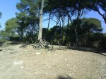 DSC00036.JPG