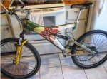 Bicis4.jpeg