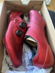 IMG_6975.jpeg