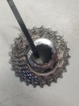 20230721_075956.jpg