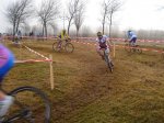 DSC01661 (Large).JPG