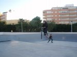 P1010006.JPG