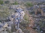 EXPL--senisenda-TR.jpg