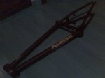 img114.jpg
