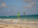 DSC03850_resize.JPG