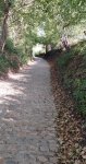 3 KOPPENBERG (2).jpeg