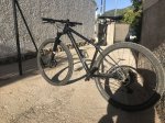 IMG_0486.jpeg