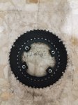Platos Ultegra.jpg