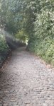 IMG_20230920_183506_1.jpg