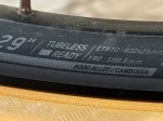 IMG_0194.jpg