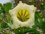 DSC03943_resize.JPG