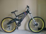Trek_Diesel_DH_by_GT_20040308_1.jpg