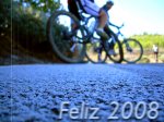 feliz2008.jpg