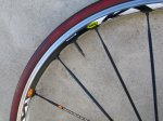 rodes 014.jpg