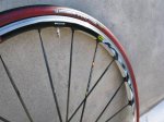 rodes 015.jpg