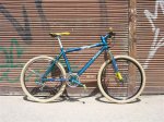 bicis 1 026 (Medium).jpg